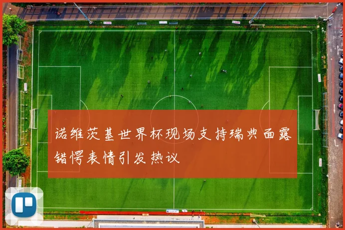 诺维茨基世界杯现场支持瑞典面露错愕表情引发热议